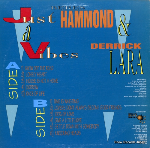 HAMMOND, BERES, AND DERRICK LARA just a vibes STLP001
