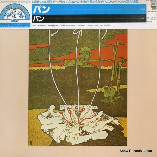 PAN pan 20AP1982