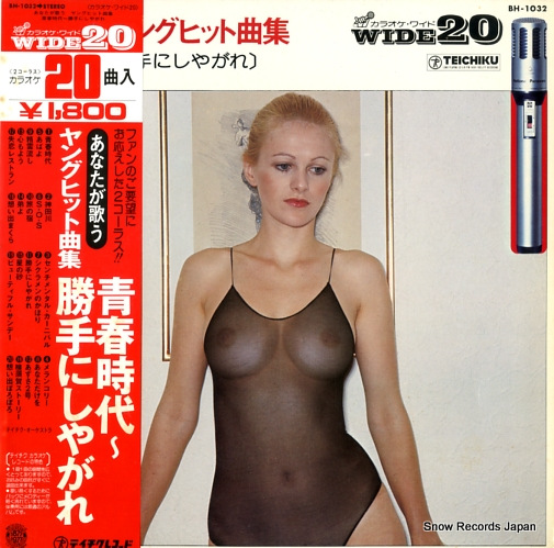 ƥȥ ʤΤ󥰡ҥåȶʽ BH-1032