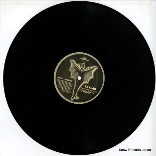 SKYLAB these are the blues ASW6169