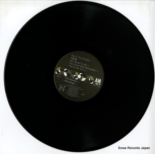 UB40 rat in the kitchen SP5137
