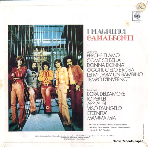 I CAMALEONTI i magnifici camaleonti S65669