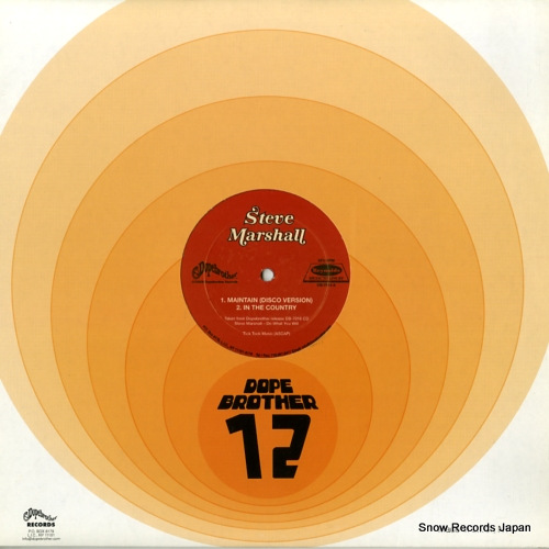 ƥޡ maintain (disco version) DB-7014