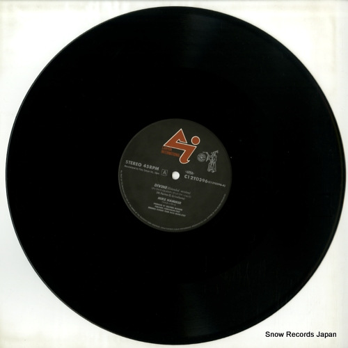 HAMMER, MIKE divine C12Y0396