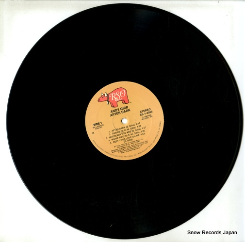 GIBB, ANDY after dark RS-1-3069