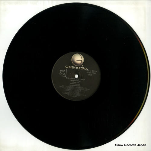 LARGE PROFESSOR, THE i juswannachill GEF12-22220