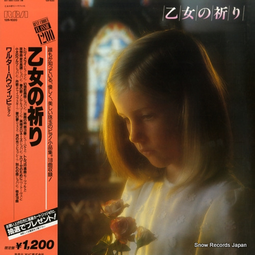 륿ϥĥå ε 12R-1020