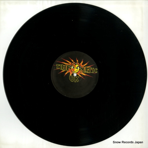 MYSTIC FRIENDS night creatures MAT004