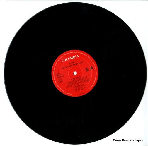 PRAS what'cha wanna do 6669616