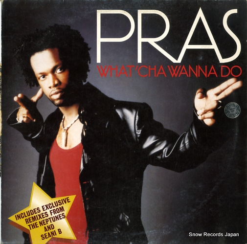 PRAS what'cha wanna do 6669616
