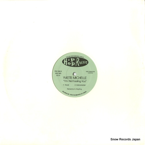 LIL' KIM / YVETTE MICHELE no time / i'm not feeling you PRO7465