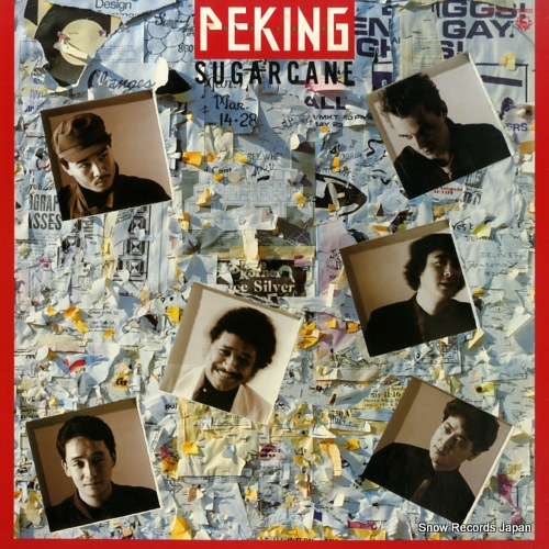 PEKING sugarcane K12A-649