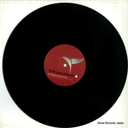 KELIS good stuff VUST164