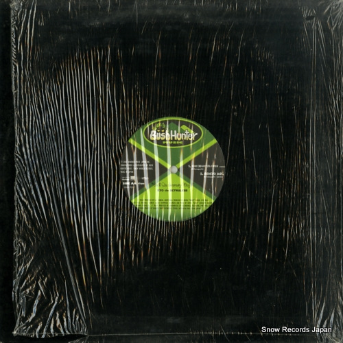 RYO THE SKYWALKER still on journey vinyl BHM-7011