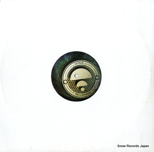 RREGULA AND DEMENTIA / MAV insects inside / ocean phantom (nickbee remix) CITRUS058