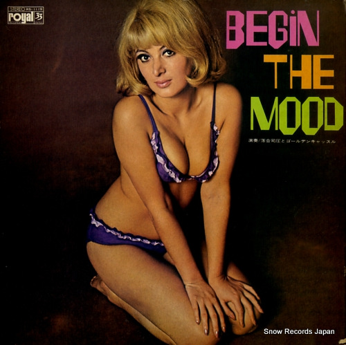 ���ʰ��ȥ�����ǥ󥭥�å��� �ӥ��󡦥����ࡼ�� RS-1119