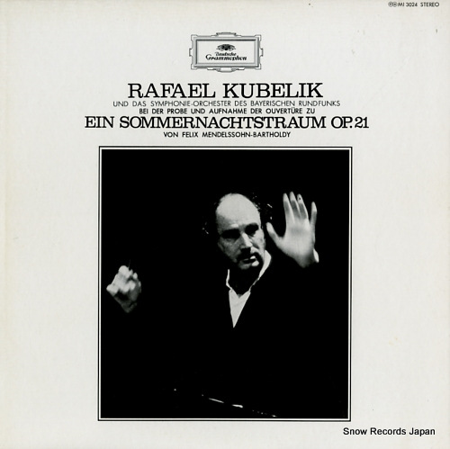 ��ե����롦�����٥�å� ���Ƥ����̴ ���� MI3024