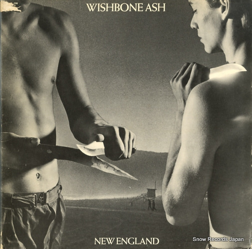 �����å���ܡ��󡦥��å��� new england MCG3523