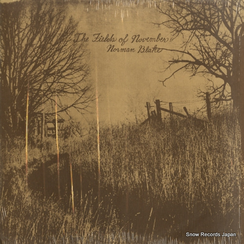 �Ρ��ޥ󡦥֥쥤�� fields of november FF004