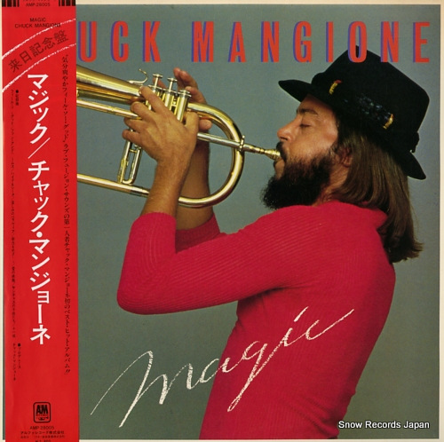 ����å����ޥ󥸥硼�� �ޥ��å� AMP-28005