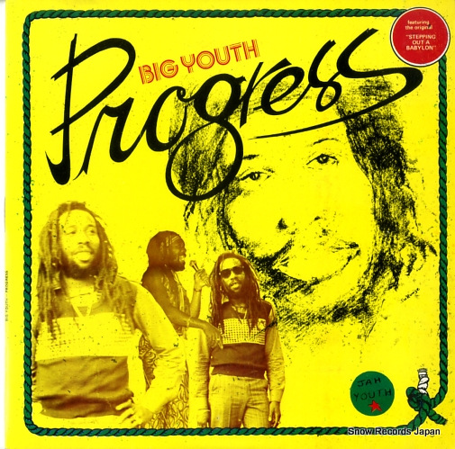 �ӥå����桼�� progress DSR7146