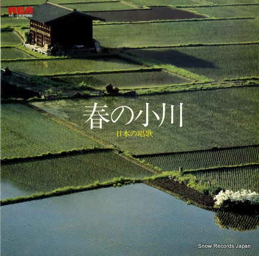 ���������ȥ顦���졼�����Ρ��� �դξ�����ܤξ� RVC-1039