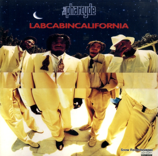 �����ե��������� labcabincalifornia DV14229-1
