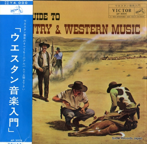 V/A ���������󲻳����� AP-3004