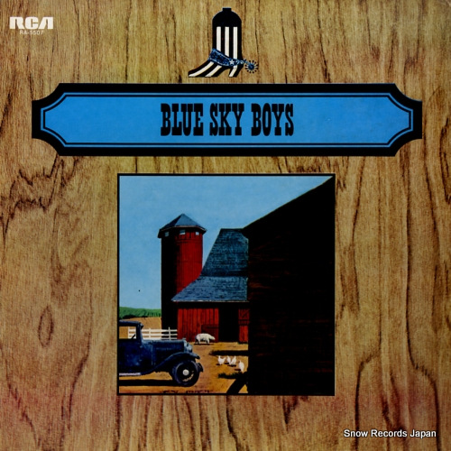 �֥롼�����������ܡ����� �ʱ�Υ֥롼�����������ܡ����� RA-5507