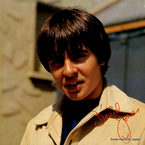 �ǥ��ӡ������硼�� davy jones 20RS-20