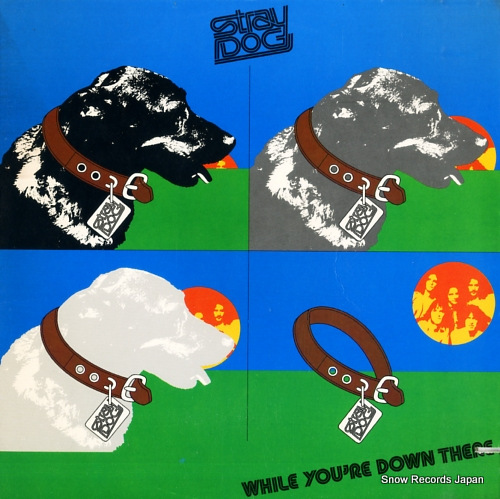 ストレイ・ドッグ while you're down there MA6-501S1