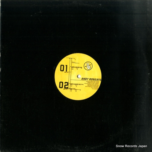 ����ǥ������С��� love is on your side VPR024