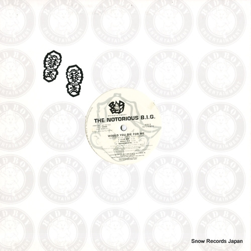 BBDP-9325