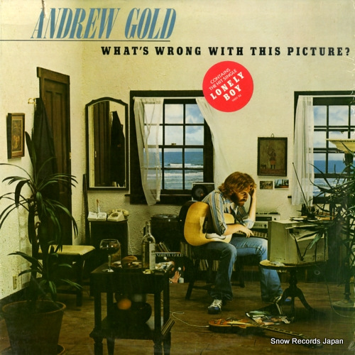 アンドリュー・ゴールド what's wrong with this picture? 7E-1086