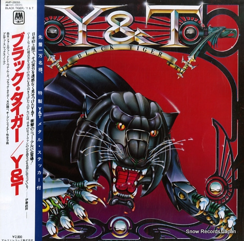 Y AND T black tiger AMP-28055