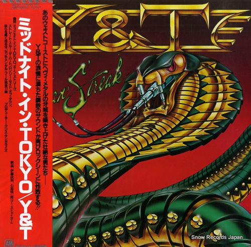 Y AND T mean streak AMP-28080