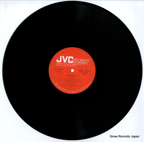 å ɡ֥꡼ VIJ-28029