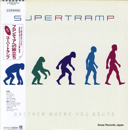 SUPERTRAMP brother where you bound AMP-28119
