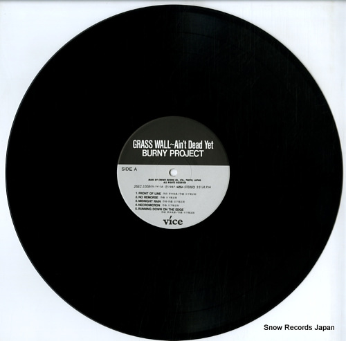 BURNY PROJECT grass wall - ain't dead yet 25EC-1008