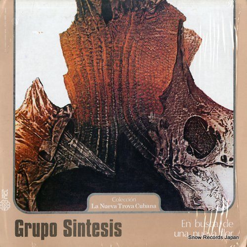 GRUPO SINTESIS en busca de una nueva flor NCL-LP-0035