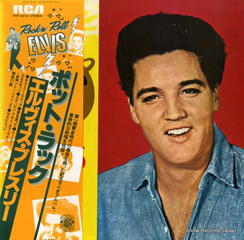 ץ쥹꡼ ݥåȡå RVP-6216