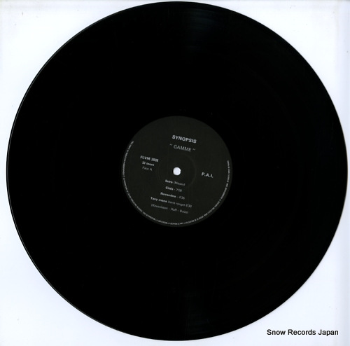 SYNOPSIS gamme rock progressif FLVM3026