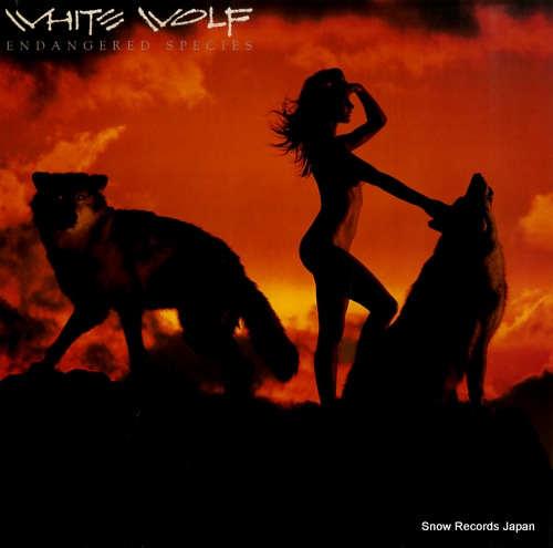 WHITE WOLF endangered species PL71025