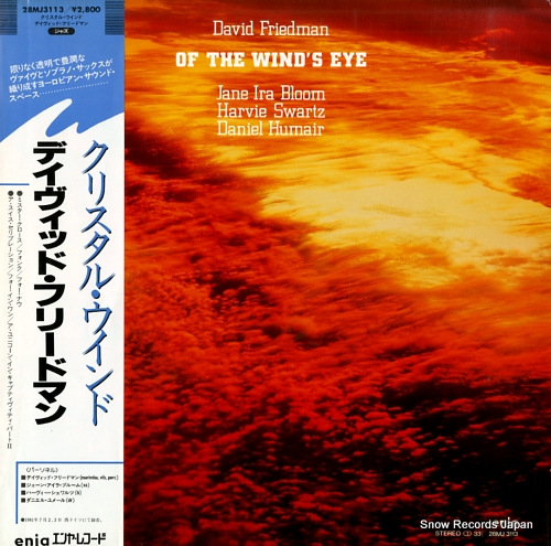FRIEDMAN, DAVID of the wind's eye 28MJ3113