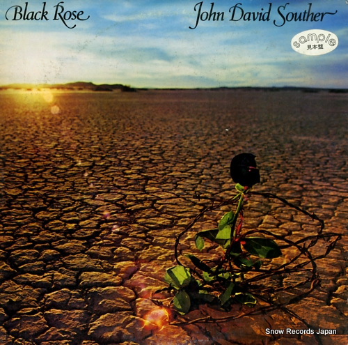 SOUTHER, JOHN DAVID black rose P-10202Y